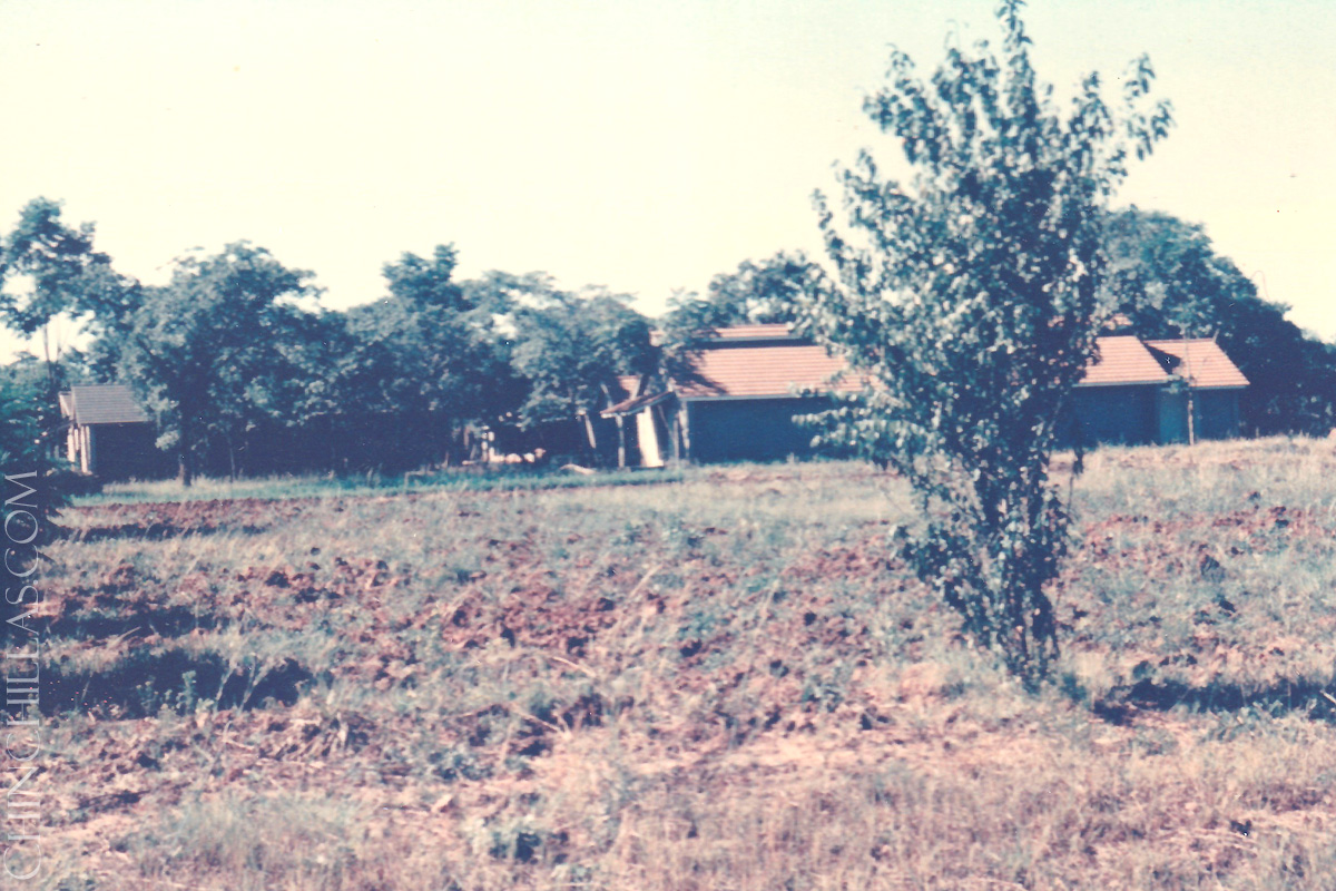 gillingham violet chinchilla birthplace salisbury rhodesia zimbabwe